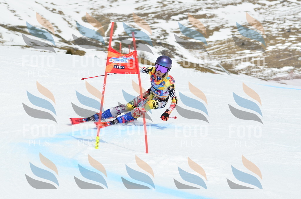 _ELE2268 | holidayphoto