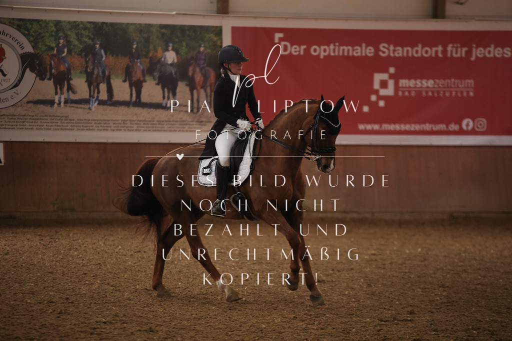 IMGT4794 | pl-fotografie