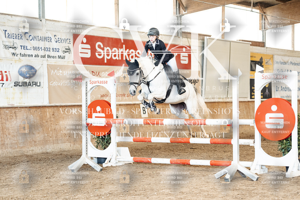 CK905304 | Turnierfotografie Pferdefotografie Trier Rheinland-Pfalz Pferdesport Reitsport Tierfotografie Sportfotografie Pferdevideo Pferdevideografie Equestrianvideography equestrianphotography  - Realized with Pictrs.com