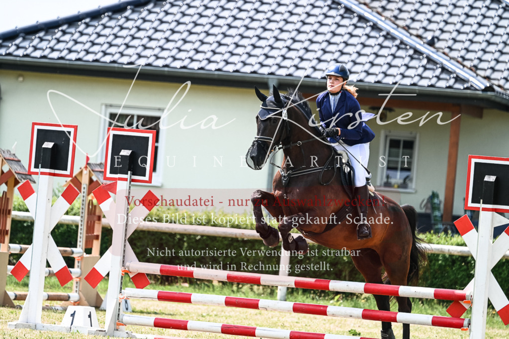 DSC_9203 | Pferde- und Turnierfotografie in Westsachsen. Pferdeportraits, Auftragszeichnungen und intuitive Kunst.