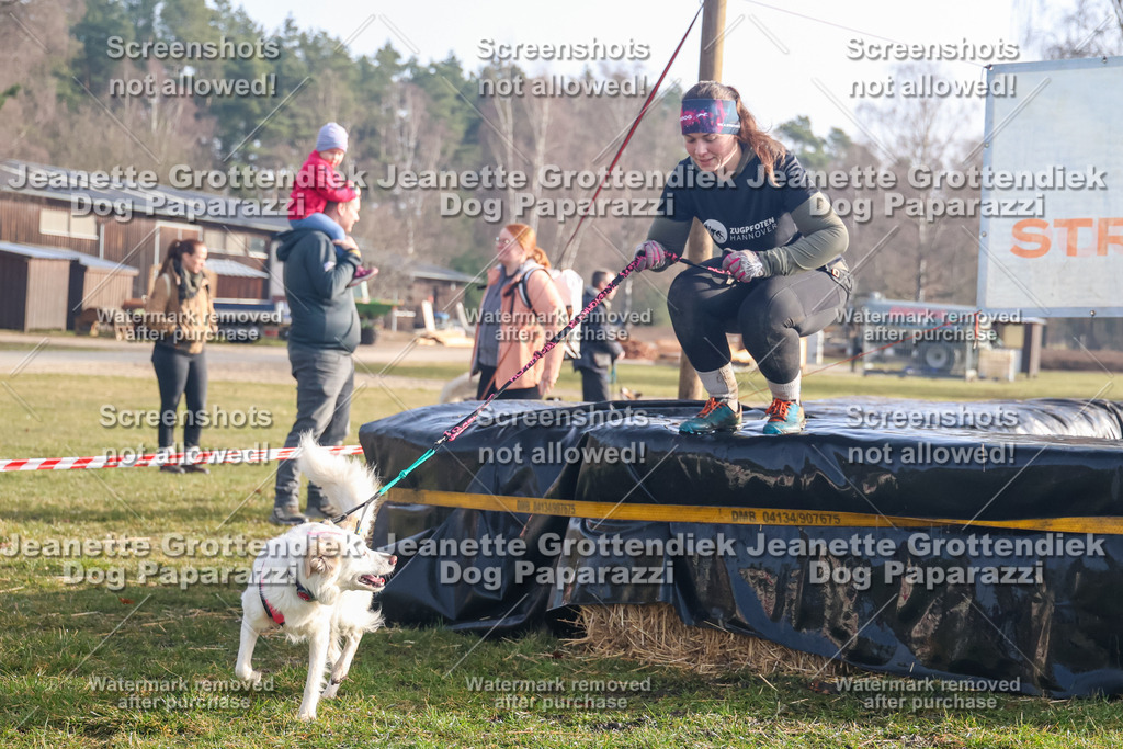 Dog Paparazzi - Strongdog North Mrz26-135 | Dog Paparazzi Jeanette Grottendiek Fotografie & Videografie - Realisiert mit Pictrs.com