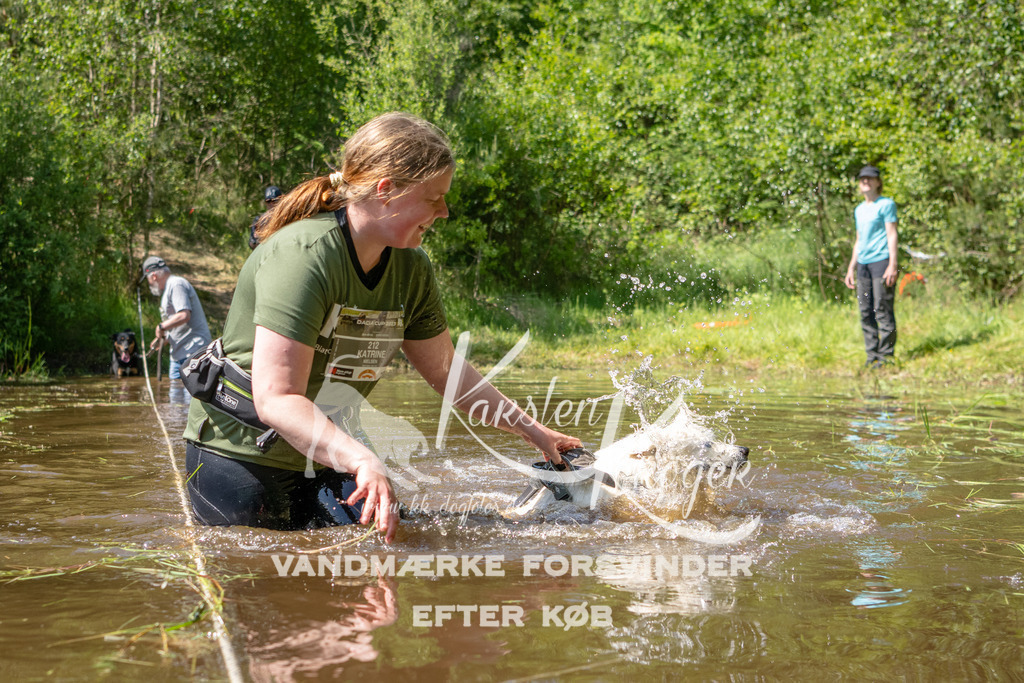 1512DKK992532 | kk-dogfotos