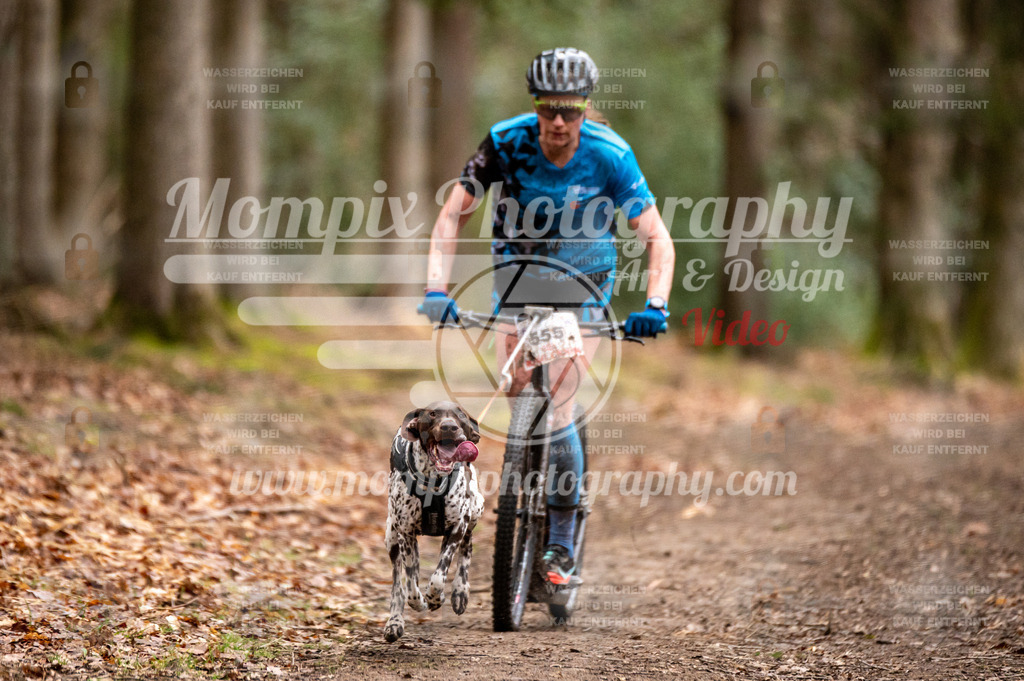 SPA_2023_DIM_Scooter-13 | PayLife