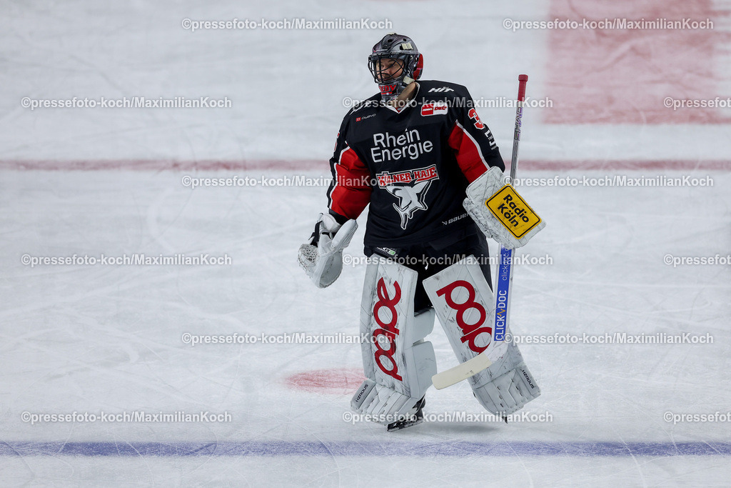 KEC22122401055 | 22.12.2024, Eishockey, DEL, Kölner Haie - Straubing Tigers, Spieltag 29, Lanxess-Arena Köln: Julius Hudacek (Kölner Haie #35)