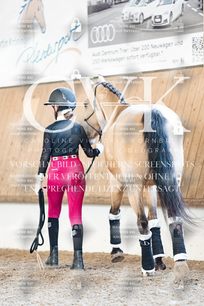 CK905391 | Turnierfotografie Pferdefotografie Trier Rheinland-Pfalz Pferdesport Reitsport Tierfotografie Sportfotografie Pferdevideo Pferdevideografie Equestrianvideography equestrianphotography  - Realisiert mit Pictrs.com