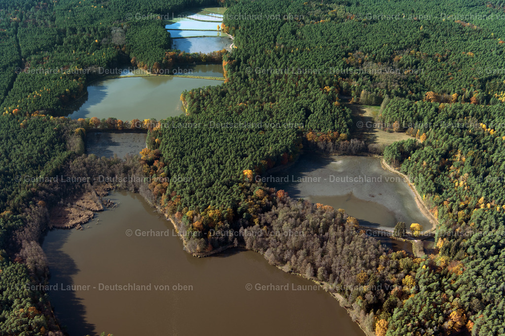 3808090 | Fischteiche bei Adelsdorf