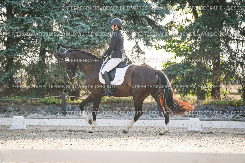 DSC07886 | Pferdegrafie