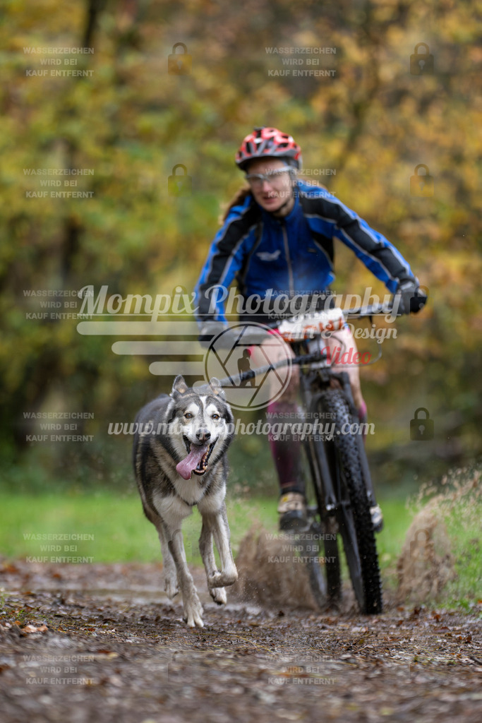 MompixPhotography_Bischwiller23_Bike-9 | PayLife