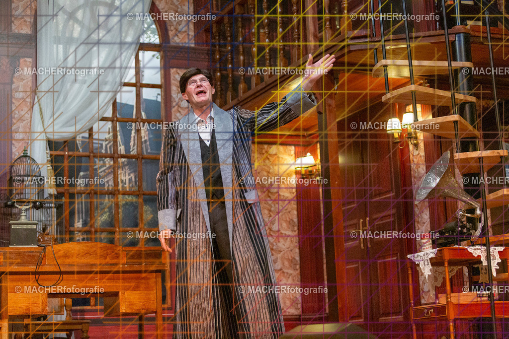 409_MFL-2025 | Portraitbilder von Regisseur; Darsteller; Techniker; Maske; Kostüme; Chor; Musiker; Bilderserie der Generalprobe und der Premierenvorstellung, Szenenbilder; Ausdrucksstudien; Bühnenüberblick; Bühnenkulissen; Pressefotos inkl. Redaktionsfoto Darstellergruppe.