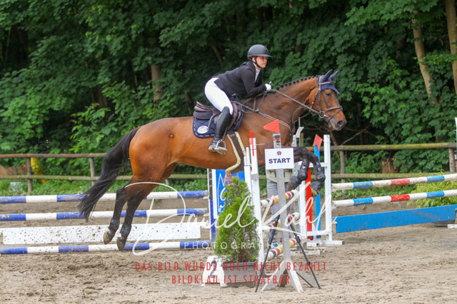 DKP44991 | Turnierfotos kaufen im Webshop von Daniel Kuhl Photography – entdecke professionelle Reitsportfotos aus Turnieren & Events. Hochwertige Turnierbilder online bestellen & sichern. Jetzt Fotos von Reitsportturnieren kaufen!