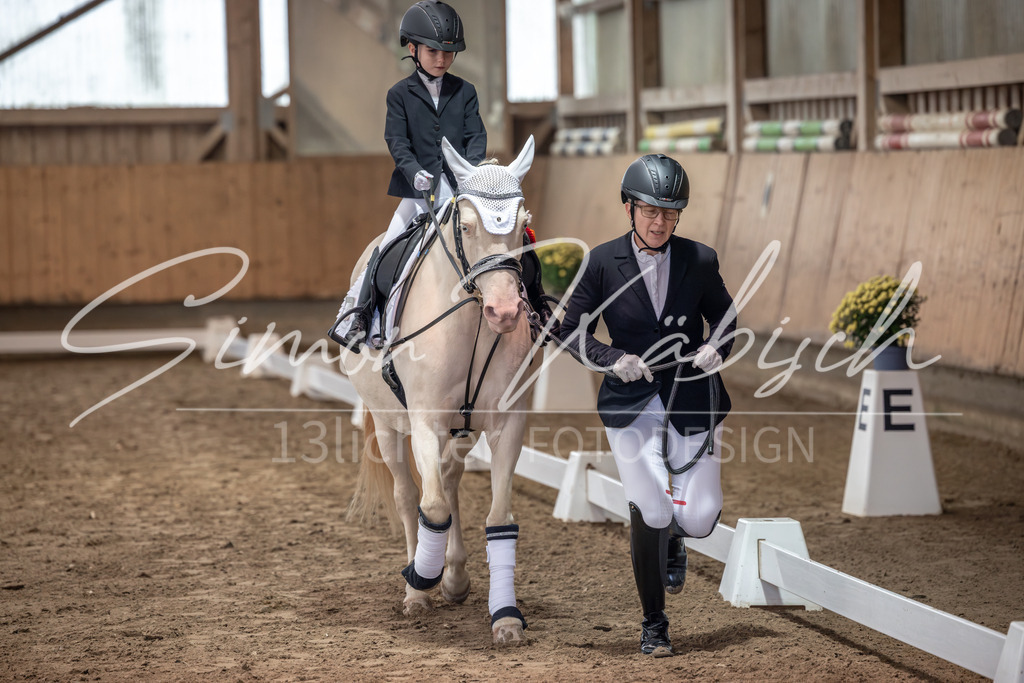 20251011-_3LI9087 | Tierfotografie Pferde, Hunde, Katzen, Haustiere.
Turnierfotografie Reitturniere, Reiten, Springreiten, Dressur in Hanau, dem Main-Kinzig-Kreis und dem Rhein-Main- Gebiet um Frankfurt
