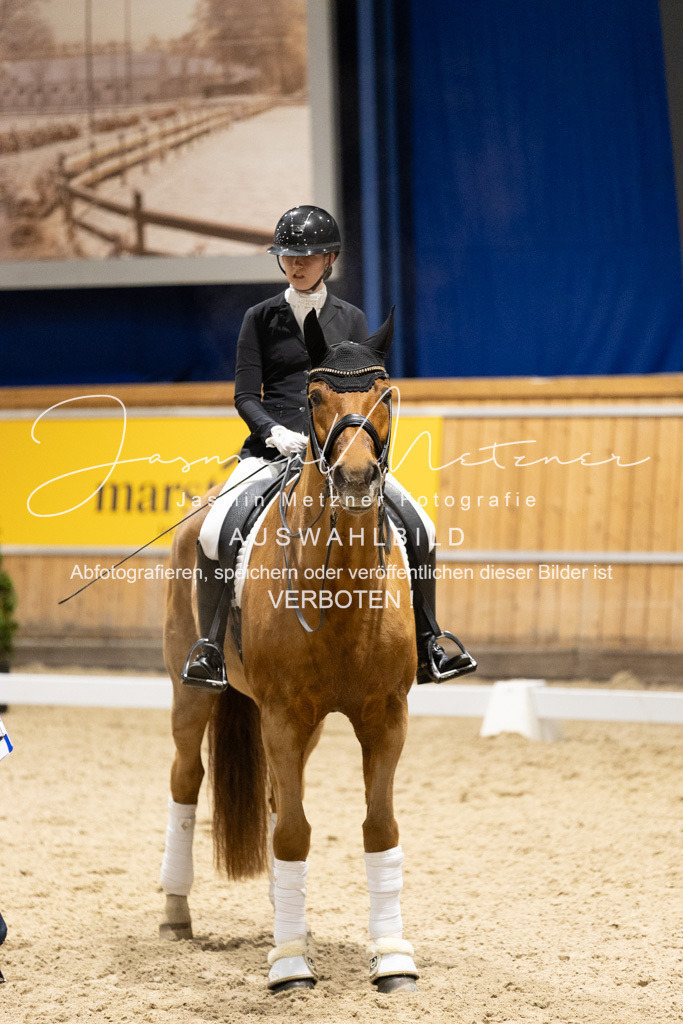 126A0370 | jasminmetznerfotografie