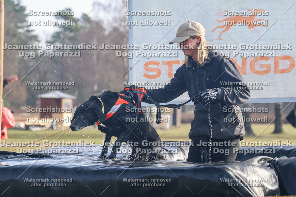 Dog Paparazzi - Strongdog North Mrz26-77 | Dog Paparazzi Jeanette Grottendiek Fotografie & Videografie - Realisiert mit Pictrs.com