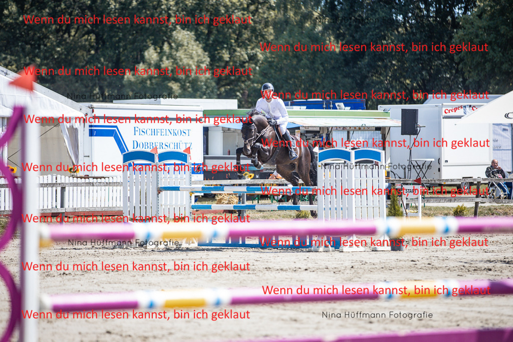 BK1A6348 | Turnierbilder Turnierfotos Nina Hüffmann Turnierfotografie Pferdefotografie Tierzeichnung Haustierzeichnung Pferdezeichnung Hundezeichnung Videograf  - Realisiert mit Pictrs.com