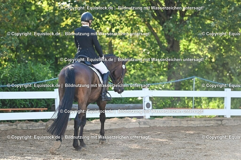 20230715_06_Dressurpferdeprfg. Kl.A_0038 | equistock