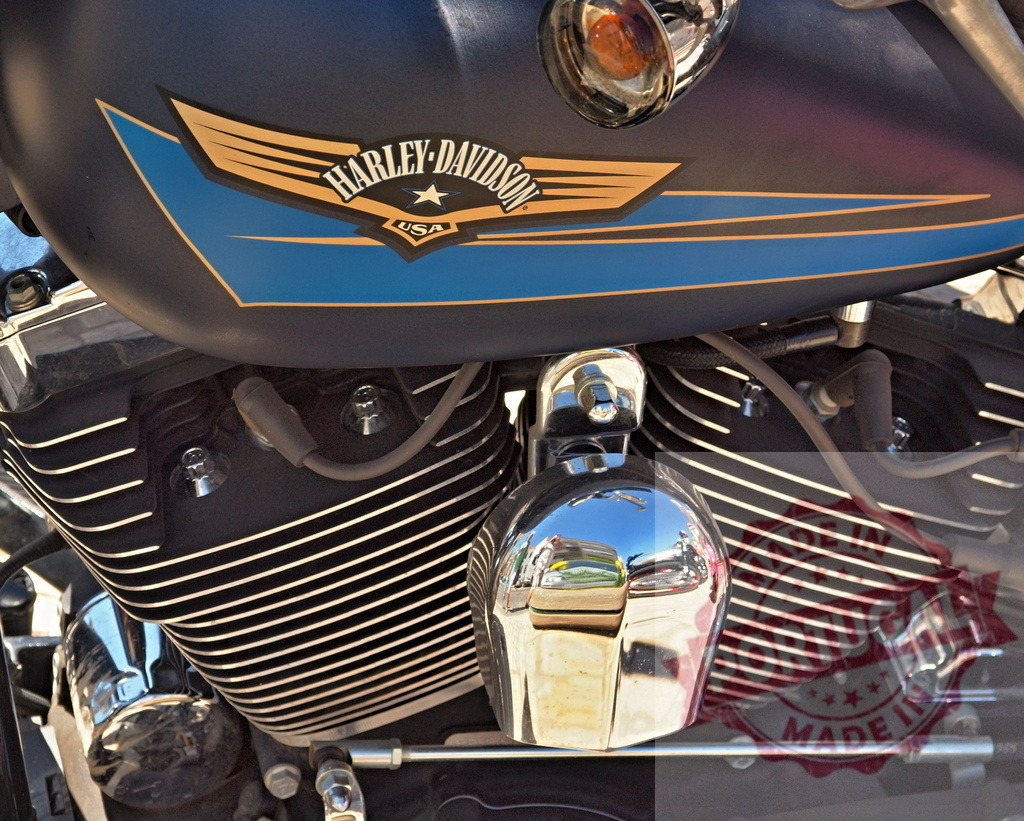 Harley-Davidson motorcycle engine with emblem on gas tank | Harley-Davidson emblem displayed on gas tank of a motorcycle with chrome engine parts - Realized with Pictrs.com