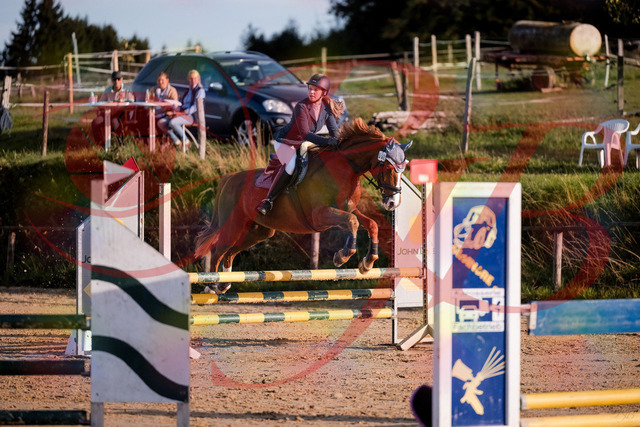 2026_10_03_Siefer-Hof_171209_Z81_09068045 | Professionelle Reitsport-, Turnier- und Eventfotografie von Robert Broda. Galerien mit ausgewählten und bearbeiteten Bildern direkt online ansehen und bestellen.