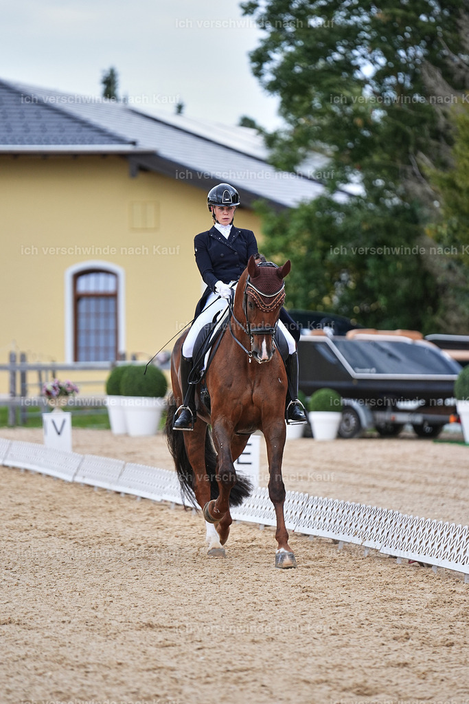 8_1-085-Klasse S_  -Marixx-4086 | working equitationturnier fotograf videograf stoibphotography marixx film working equitation deutschland reitsport turnierfotografie eventfotografie equestrian events