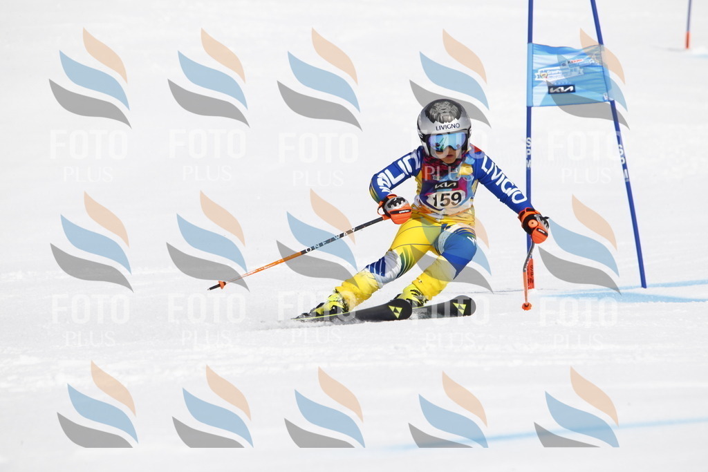 _U3G4294 | holidayphoto