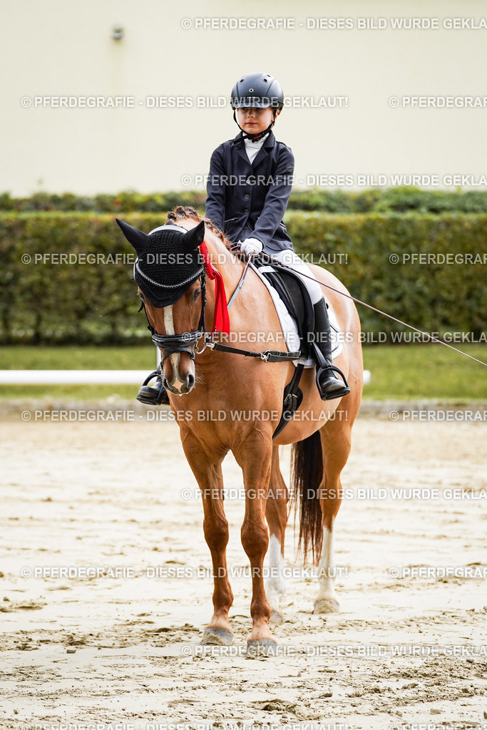 DSC05770 | Pferdegrafie