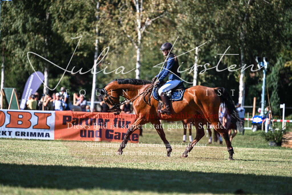 DSC_0556 | Pferde- und Turnierfotografie in Westsachsen. Pferdeportraits, Auftragszeichnungen und intuitive Kunst.