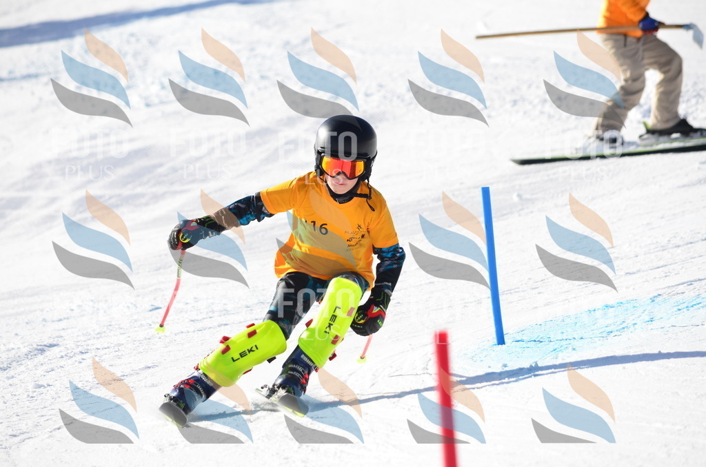 C6320 | holidayphoto