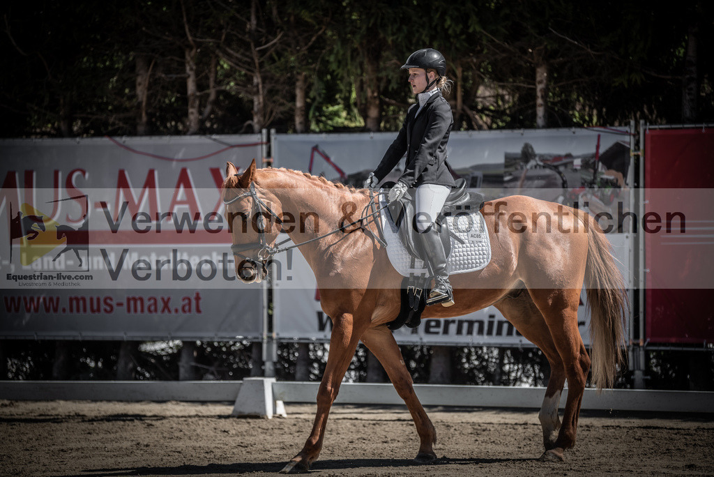 DSC_0098 | equestrian-live-com