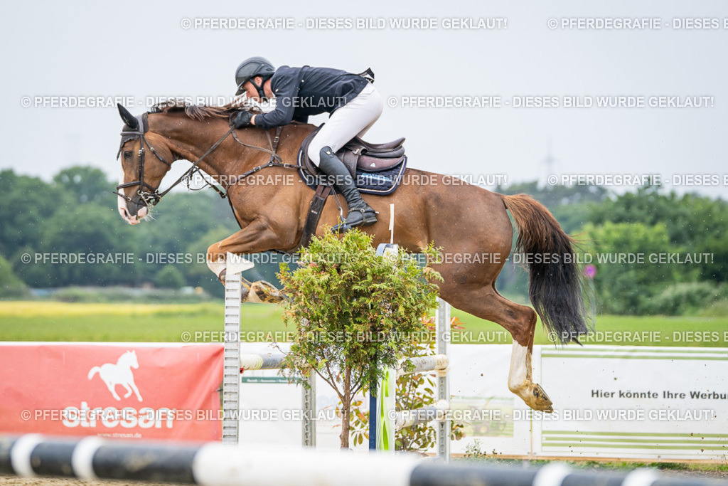 DSC02751 | Pferdegrafie