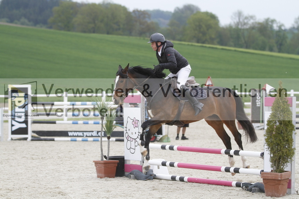 _MG_3706 | equestrian-live-com