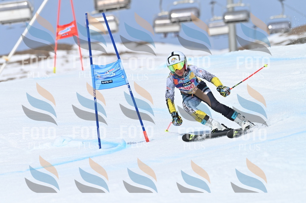 BGV_3838 | holidayphoto