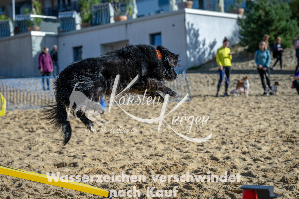 1131_ZZ91426 | kk-dogfotos