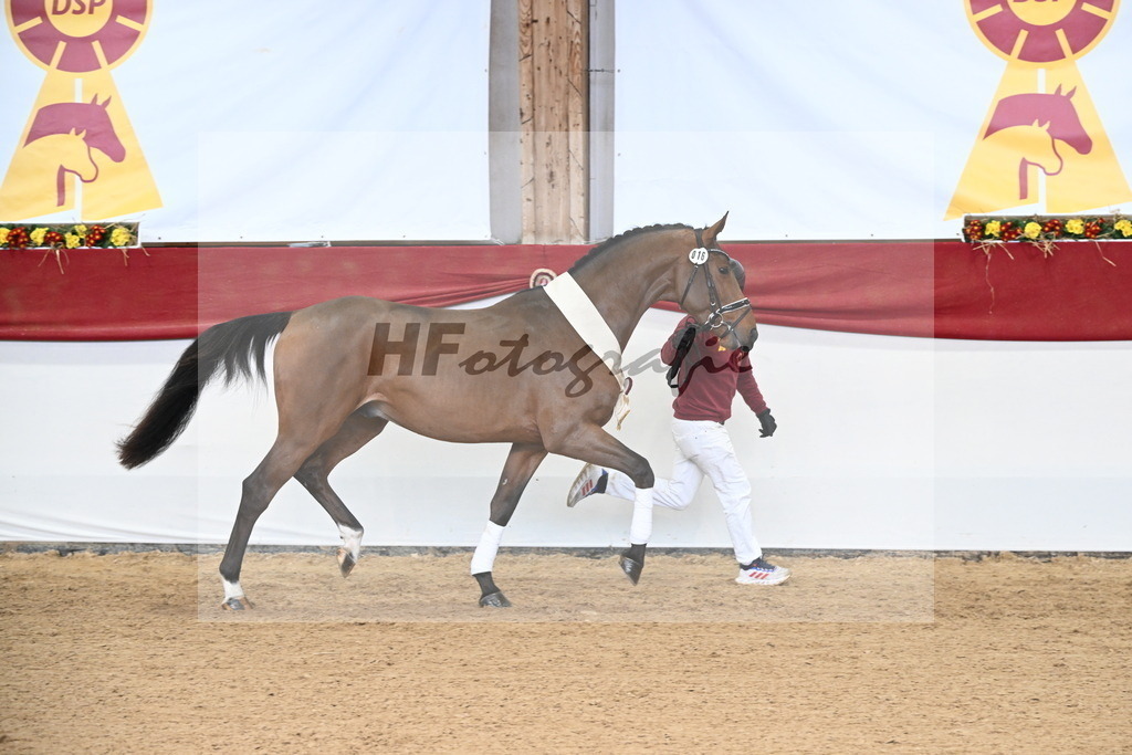 Kat.-Nr. 16 v. Denzel van het Meulenhof_Schulze Averdiek_3265249 | hf-fotografie - Realizzato con Pictrs.com