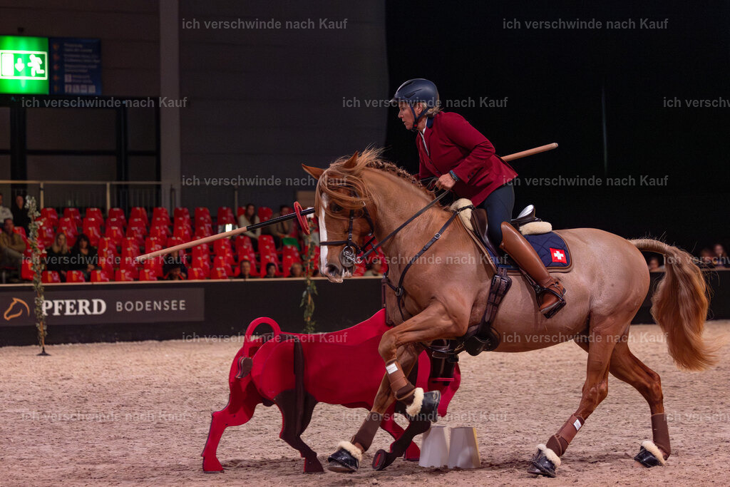 JoseraCup-154 | working equitationturnier fotograf videograf stoibphotography marixx film working equitation deutschland reitsport turnierfotografie eventfotografie equestrian events