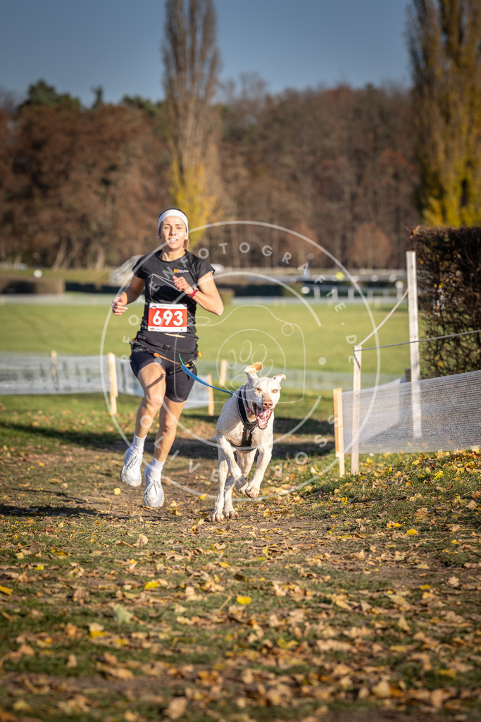 CaniXpix_DV3A1320 | Hundefotografie, Tierfotograf, Pfotenfotografie, Fotoshooting Hund, Hunde Portrait, Hundesport, Hundeportraits, Heideshooting, Hunde, Sportfotograf, Hundefotograf, Turnierhundsport, THS,  - Realisiert mit Pictrs.com