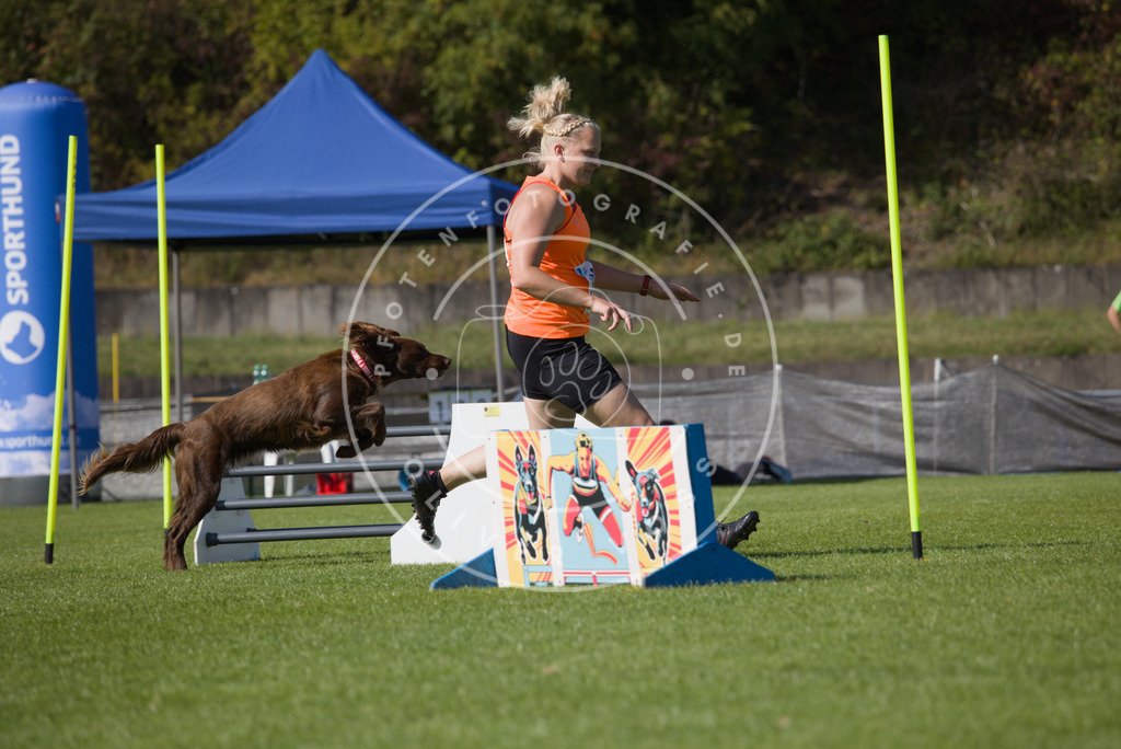 0L8A8105 | Hundefotografie, Tierfotograf, Pfotenfotografie, Fotoshooting Hund, Hunde Portrait, Hundesport, Hundeportraits, Heideshooting, Hunde, Sportfotograf, Hundefotograf, Turnierhundsport, THS,  - Realisiert mit Pictrs.com