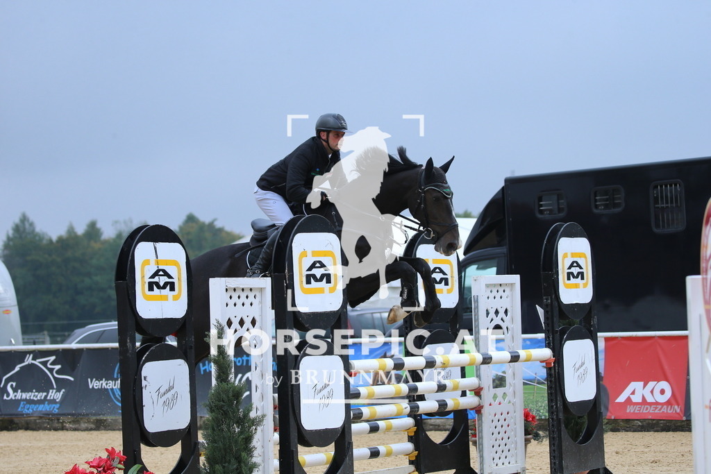 DL2Q0907 | Willkommen bei Brunnmayr - Design & Fotografie – Ihrem Spezialisten für Reitturniere und Pferdeveranstaltungen in Oberösterreich, Salzburg und Bayern! Seit über 17 Jahren sind wir leidenschaftlich dabei.