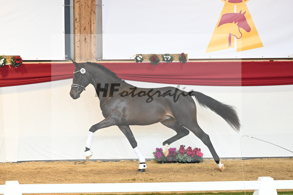 Kat-Nr. 62 Le Formidable_Rothenberger_1230370 | hf-fotografie - Realizzato con Pictrs.com