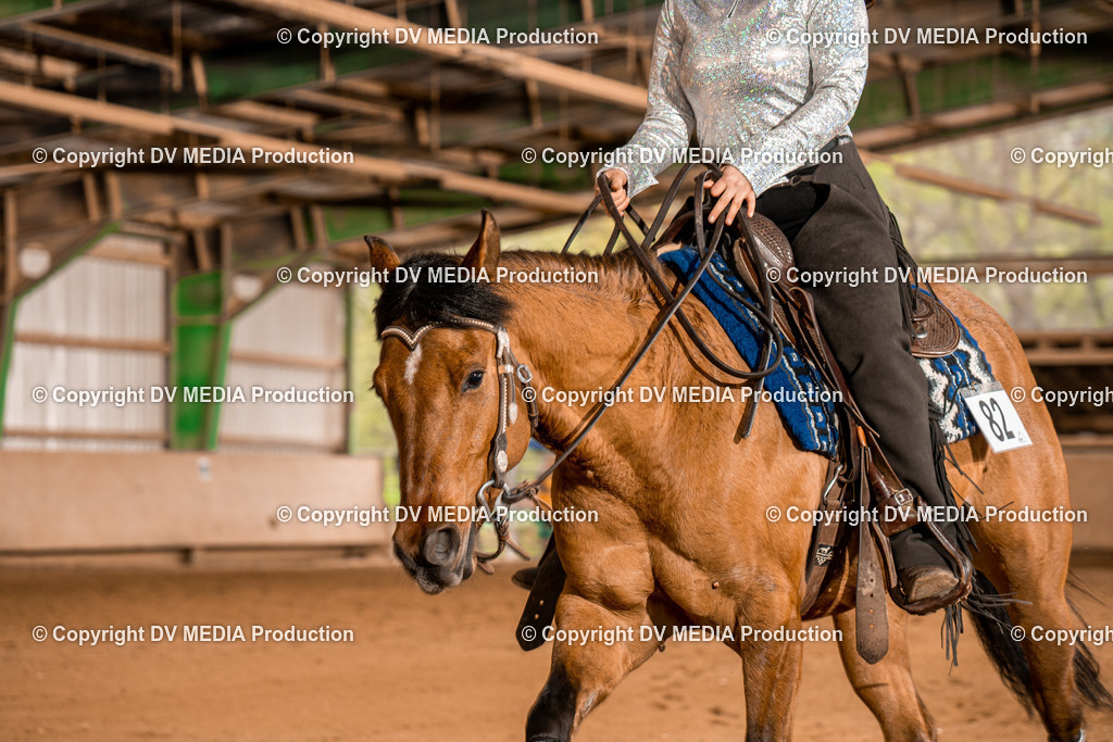 BA400538 | dv-media-shop - Realisiert mit Pictrs.com