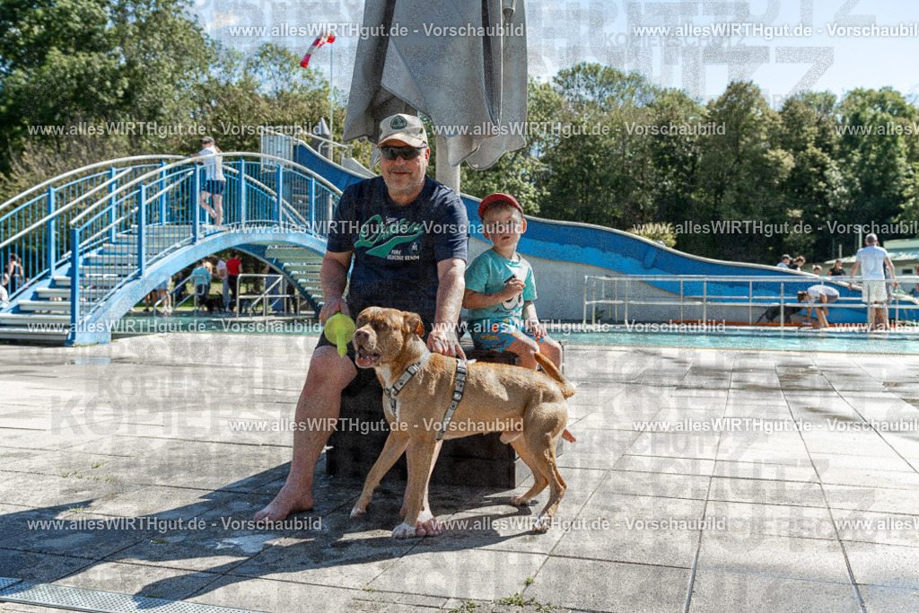 Hundeschwimmen_Volksbad_2026-allesWIRTHgut_Tierfotografie-2609061252-120209-7R500231 | Professionelle Tierfotografie in Mönchengladbach von Daniel Wirth (allesWIRTHgut). Liebevolle & natürliche Bilder von Hunden & Katzen für unvergessliche Erinnerungen.