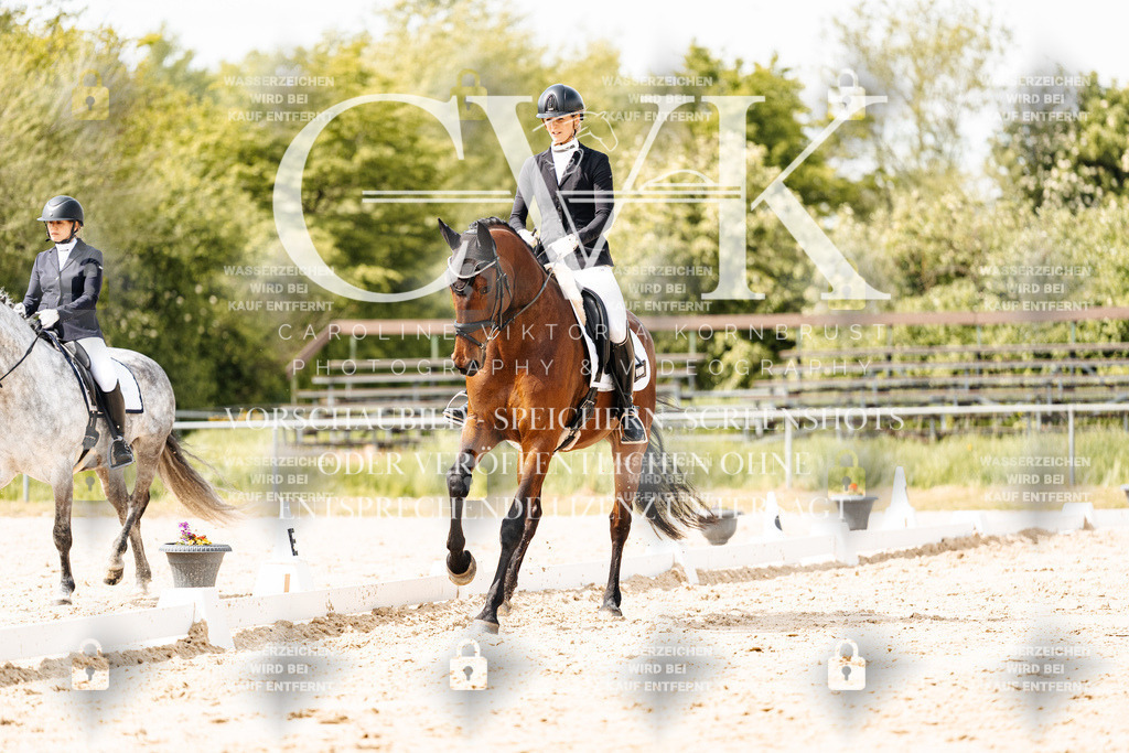 CK901541 | Turnierfotografie Pferdefotografie Trier Rheinland-Pfalz Pferdesport Reitsport Tierfotografie Sportfotografie Pferdevideo Pferdevideografie Equestrianvideography equestrianphotography  - Realisiert mit Pictrs.com