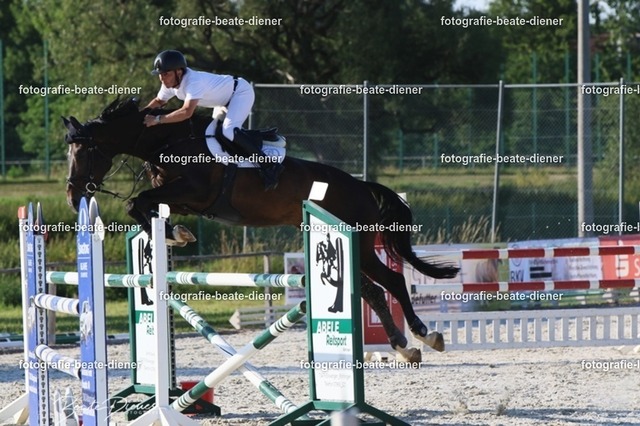 OHT 2022 Röhlingen (171) | Fotografie, Tiere, Hunde, Katzen, Pferde, Sportfotografie, Fotosession, Tierfotografie, Turnierfotografie, Fotografin, Fotograf - Realisiert mit Pictrs.com