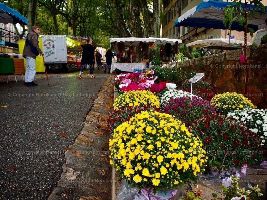 P1011901 | OLYMPUS DIGITAL CAMERA          - Realisiert mit Pictrs.com