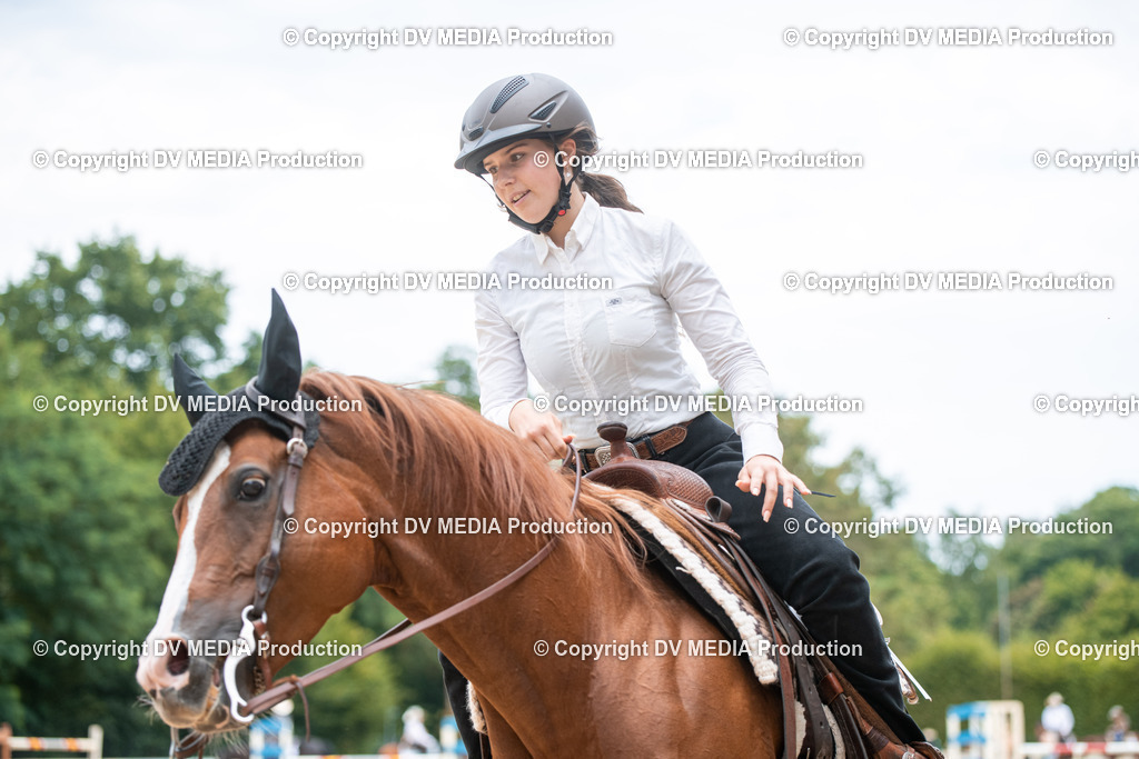 ZS2_8618 | dv-media-shop - Realisiert mit Pictrs.com