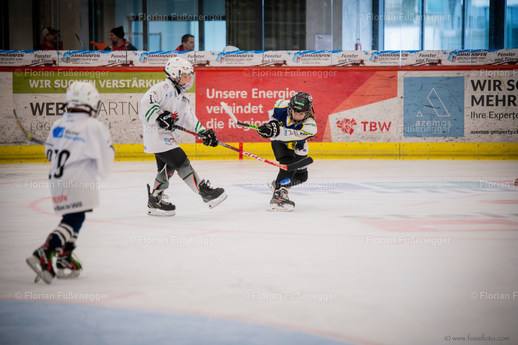 DSC_2163 | "Fussifoto.com – Ihr Ansprechpartner für hochwertige Fotografie! Entdecken Sie kreative Bilder und professionelle Dienstleistungen. Kontaktieren Sie uns für Ihre Projekte!"