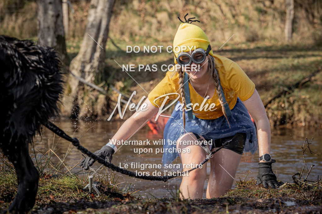 nelerasche_FS1330-1400_188 | nelerasche