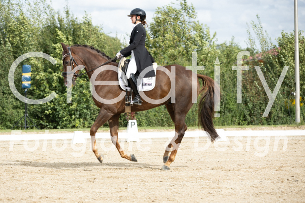 IMG_6885 | Creatify Fotografie