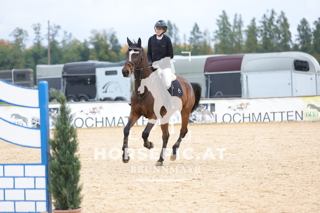 0P6A2652 | Willkommen bei Brunnmayr - Design & Fotografie – Ihrem Spezialisten für Reitturniere und Pferdeveranstaltungen in Oberösterreich, Salzburg und Bayern! Seit über 17 Jahren sind wir leidenschaftlich dabei.