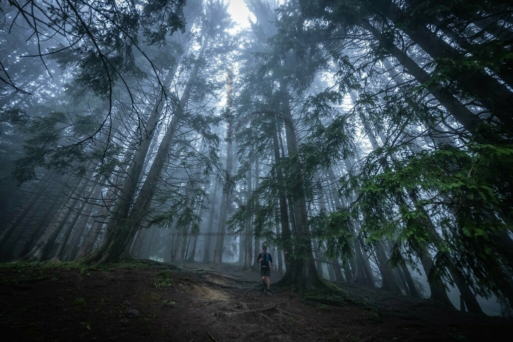 Gebrigsmarathon 2023 - Gebirgstrail | Gebrigsmarathon 2023 - Gebirgstrail am 05.08.2023 in Immenstadt. 

(Foto: Dominik Berchtold/www.dberchtold.com/ @d_berchtold_foto)
