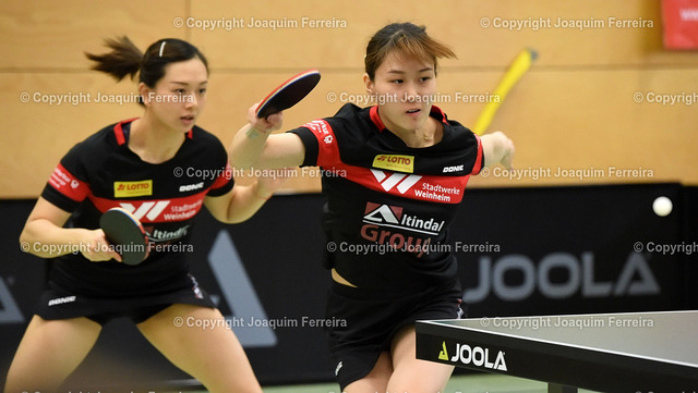 Liu_Wan-01 | 2025.03.01  Tischtennis  Damen 1. Bundesliga TSV 1909 Langstadt - TTC 1946 Weinheim v.l., Yuan Wan (TTC 1946 Weinheim Tischtennis Damen 1.Bundesliga) und Weishan Liu (TTC 1946 Weinheim Tischtennis Damen 1.Bundesliga)  - Realisiert mit Pictrs.com