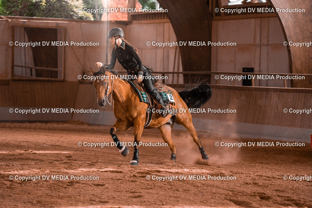 NE201157 | dv-media-shop - Realisiert mit Pictrs.com